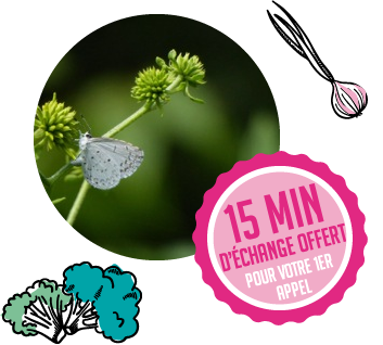 Dany Maillard, Tarifs Naturopathie
